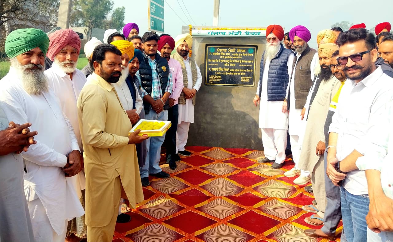 WhatsApp Image 2026-02-20 at 13.15.37