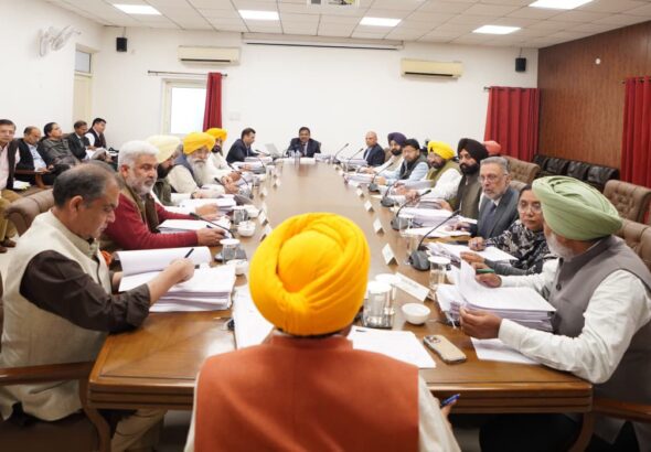 WhatsApp Image 2026-02-23 at 6.24.55 PM (1)