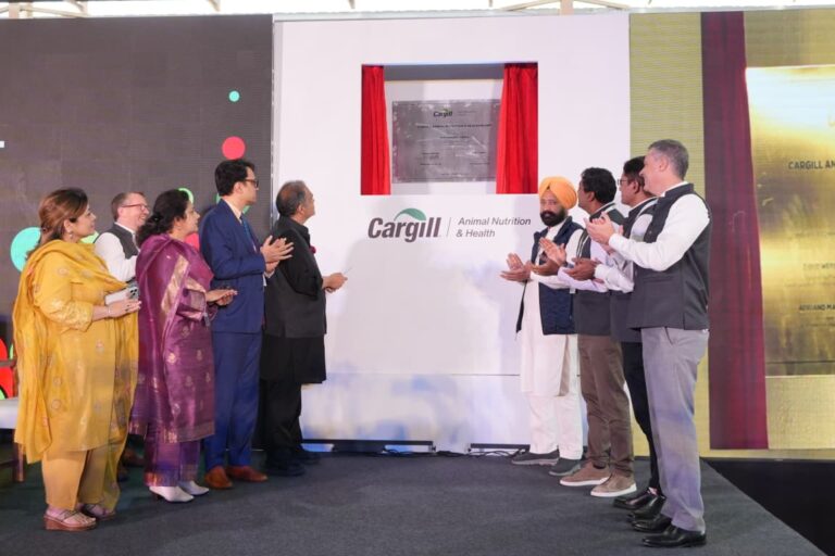 WhatsApp Image 2026-02-28 at 8.35.08 PM