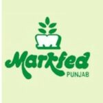 307867415_587978579783170_6048411488422683414_n