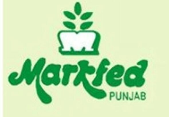 307867415_587978579783170_6048411488422683414_n