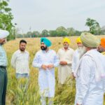 WhatsApp Image 2026-04-01 at 4.56.49 PM