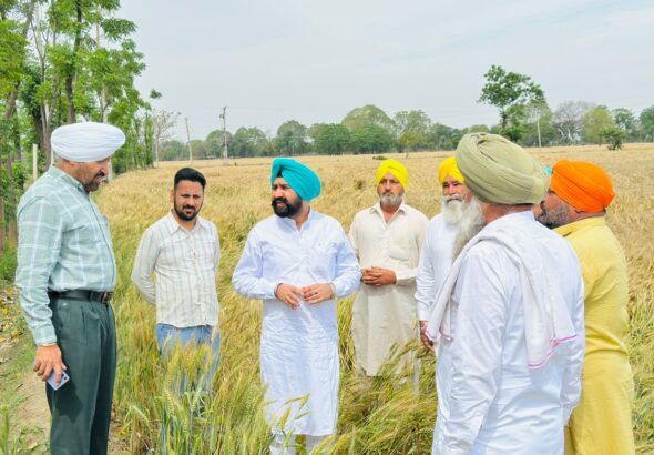 WhatsApp Image 2026-04-01 at 4.56.49 PM