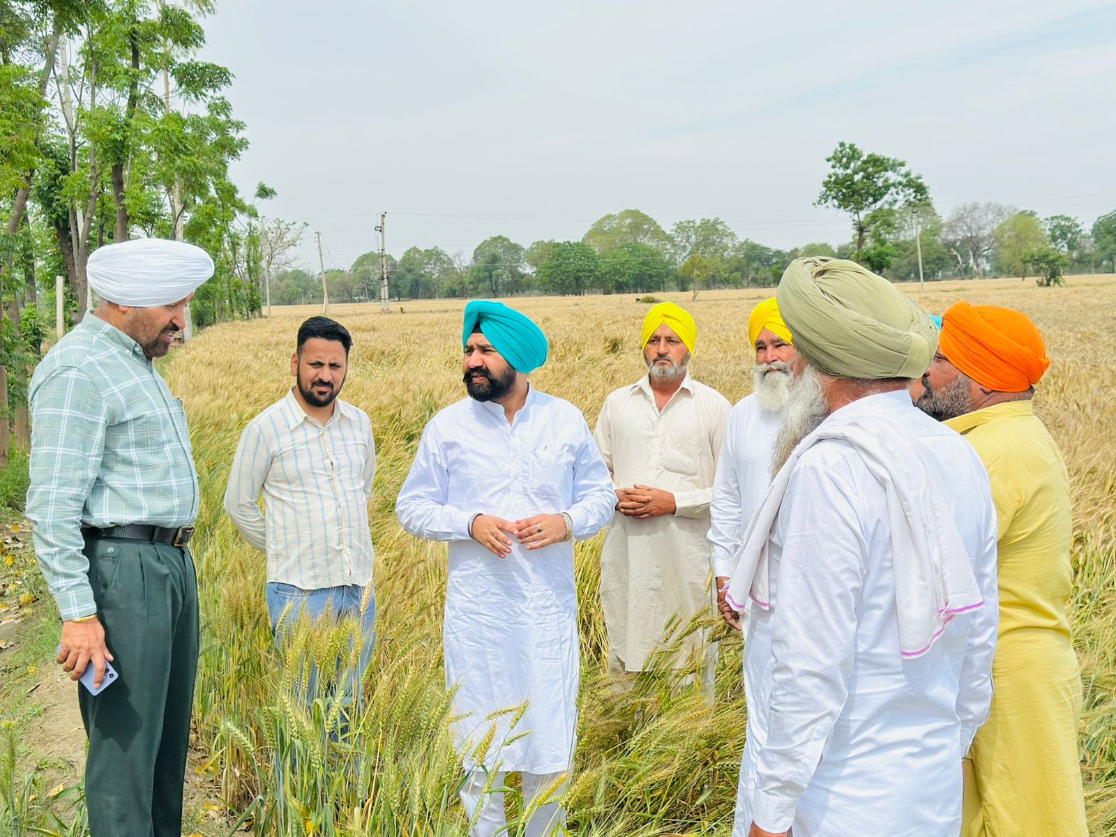 WhatsApp Image 2026-04-01 at 4.56.49 PM