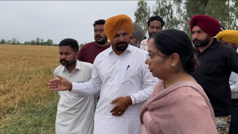 WhatsApp Image 2026-04-02 at 9.10.48 AM