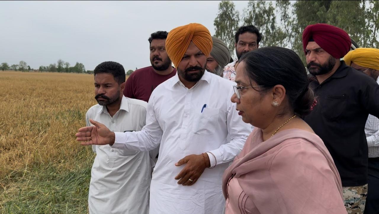 WhatsApp Image 2026-04-02 at 9.10.48 AM