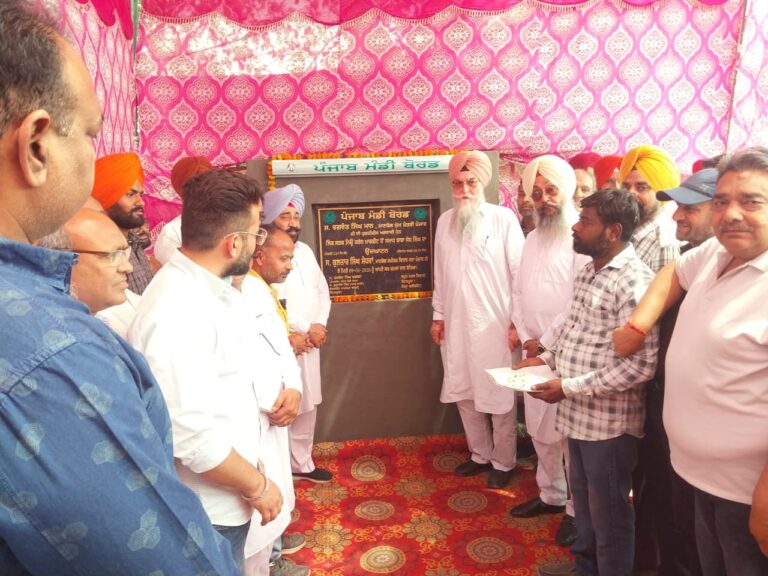 WhatsApp Image 2026-04-09 at 12.03.26 PM