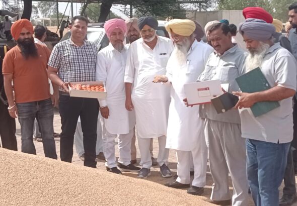 WhatsApp Image 2026-04-16 at 2.49.55 PM