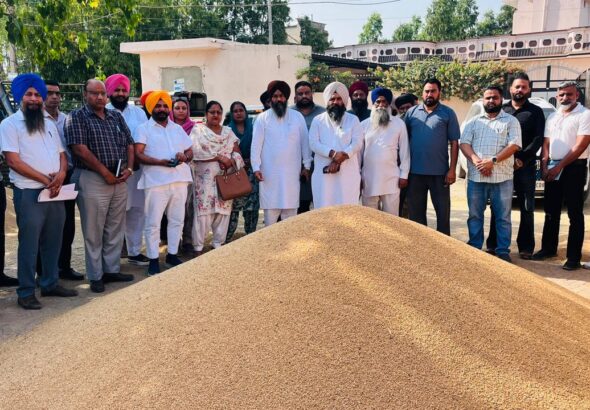 WhatsApp Image 2026-04-23 at 5.00.18 AM